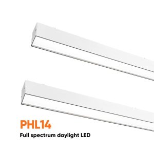 Dentled PHL14 Treatmentroom light