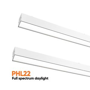 Dentled PHL22 Full spectrum daylight for treatmentrooms dentist