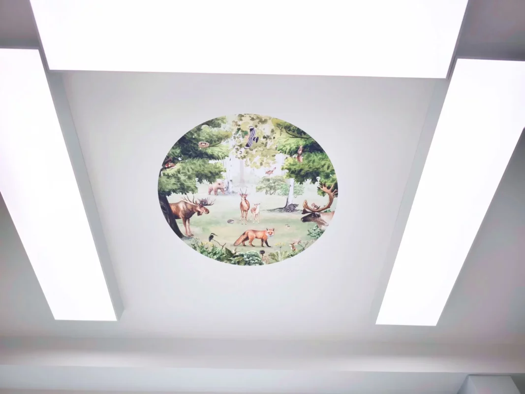 Dental treatment room at Zahnarztpraxis Wendland with DL120 full spectrum 5000K LED panels and relaxing ceiling visuals above the patient chair.