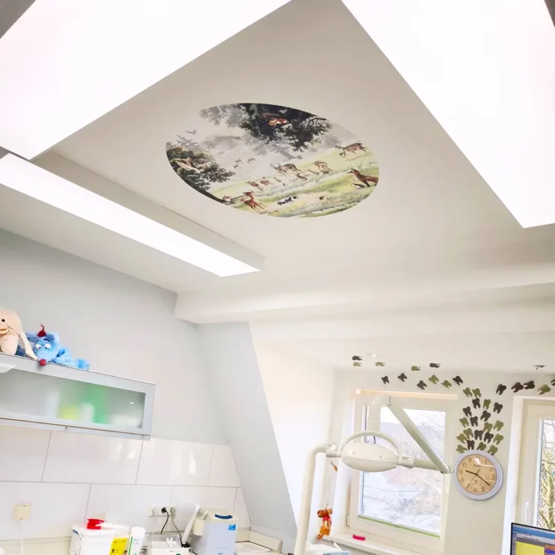 DL120 full spectrum daylight LED panels installed in three treatment rooms at Zahnarztpraxis Wendland by Dr. Christina Berger, featuring 5000K natural working light and calming ceiling visuals above the dental chair.